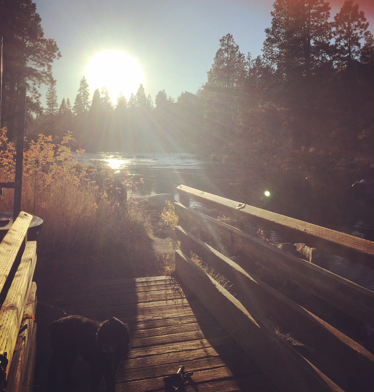 walk2